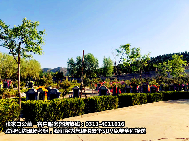 北京陵园公墓排名怎么样？北京墓地前十名有哪(图1)