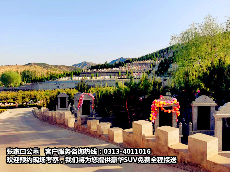 张家口公墓工作人员以身作则带头 率先对垃圾进行分类(图1)